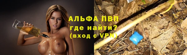 дурь Каменка