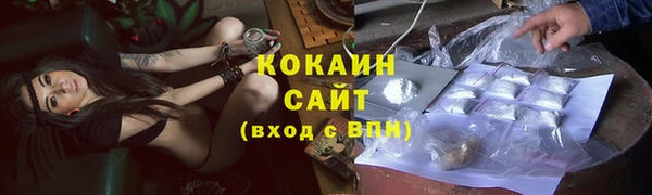 дурь Каменка