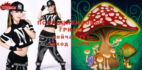 дурь Каменка