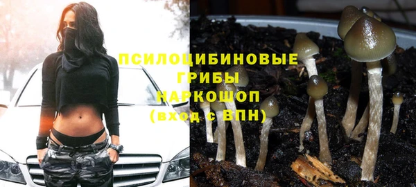 дурь Каменка