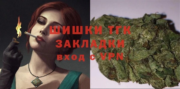 дурь Каменка