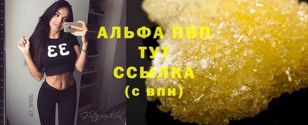 дурь Каменка